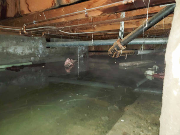 Best Water damage cleanup near me  in Kennedale, TX