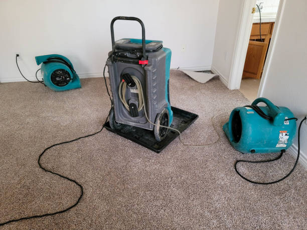 Best Fire Damage Restoration  in Kennedale, TX