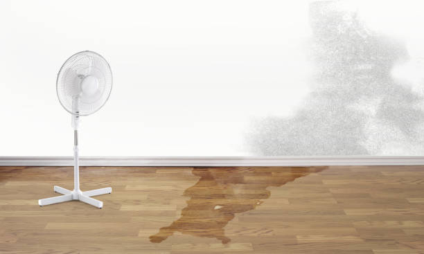 Best Professional water damage repair  in Kennedale, TX