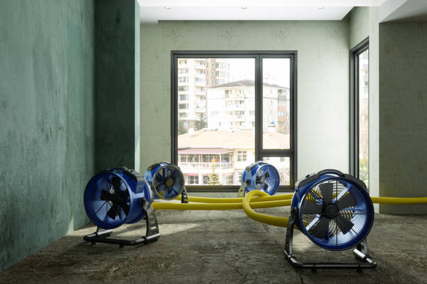 Best Carpet water damage restoration  in Kennedale, TX